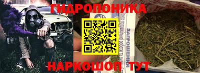 крисы Балахна