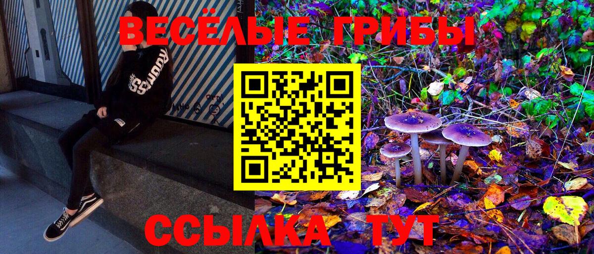 Галлюциногенные грибы Psilocybe  Вход с VPN  наркота  Ачхой-Мартан  Псилоцибиновые грибы Magic Shrooms 